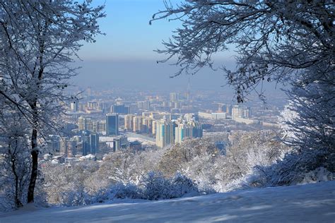 Горный парк Кок-Тобе: идеальное место для активной прогулки с детьми в Алматы