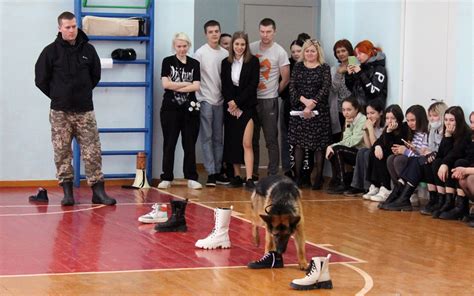 Государственные техникумы: возможности для будущих кинологов