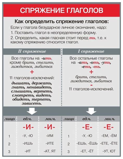 Грамматические правила и особенности спряжения глаголов в причастии