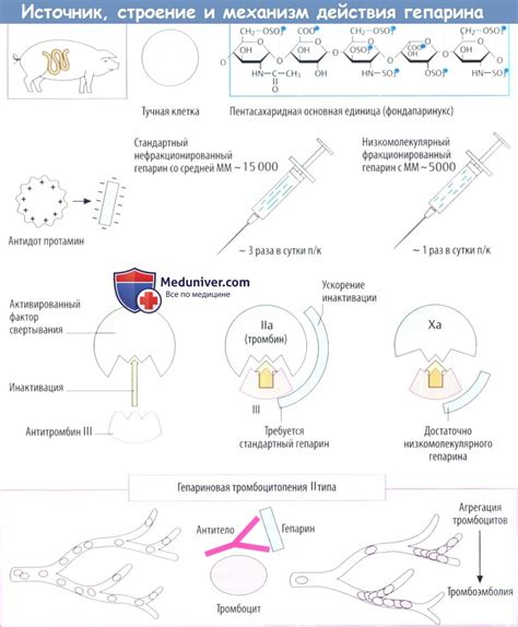 Действие гепарина на пневмонию