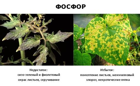 Дефицит и избыток вещества с необычным названием