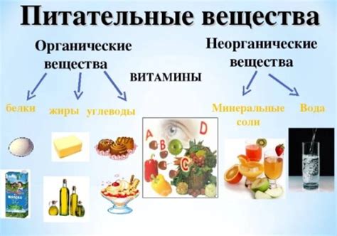 Дефицит необходимых питательных веществ