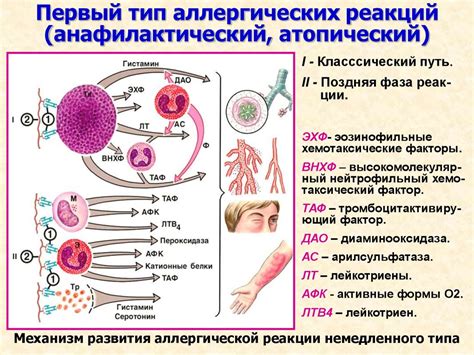 Диагностика аллергической реакции на натрий-йодид