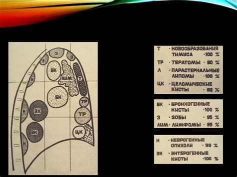 Диагностика гиповаскулярного образования