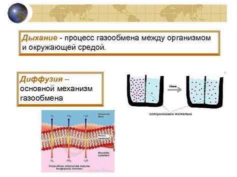 Диффузия: основной механизм перемещения частиц в случайном движении