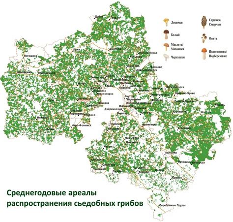 Дмитровский район: оазисы грибных лесов их сверхъестественной плодородности