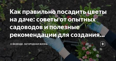 Дополнительные рекомендации и полезные советы