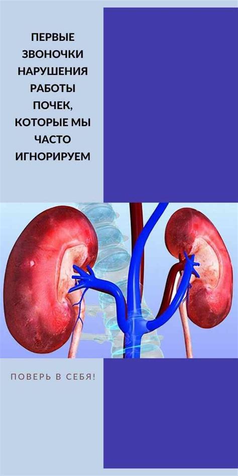 Желе с выраженным запахом: признак нарушения работы почек