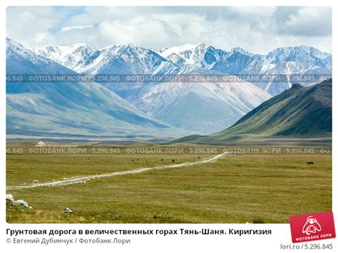 Жизнь в величественных горах