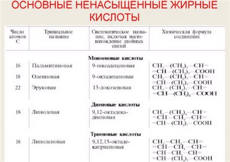 Жирные кислоты: основа гормональной и нервной системы