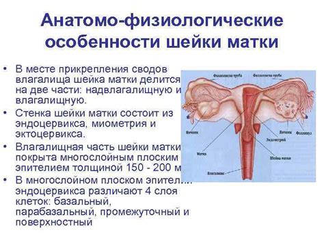 Заболевания матки и шейки матки