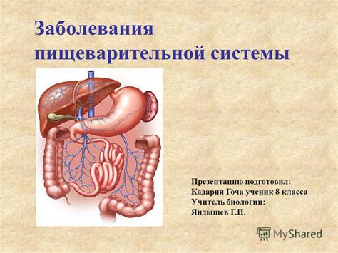 Заболевания пищеварительной системы: диагностика и лечение