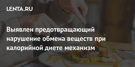 Забота о здоровье: рестораны с калорийной и сбалансированной кухней