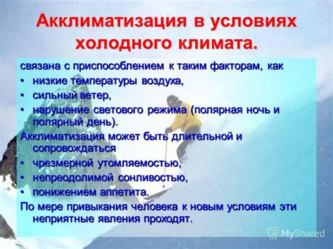 Забота о покрове в условиях низких температур и переходящих ветров