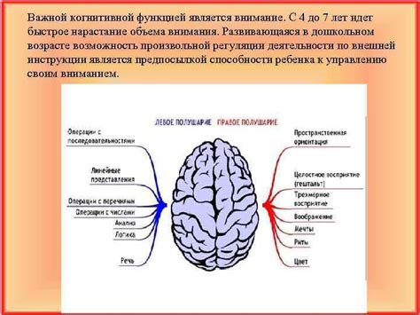 Забывчивость или проблемы с когнитивной функцией?