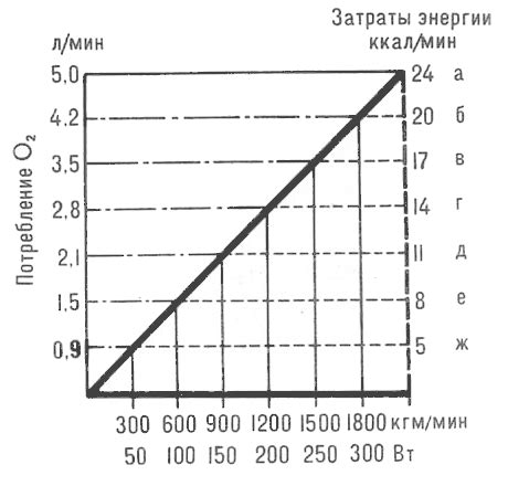 Зависимость между скоростью ходьбы и количеством сжигаемых калорий