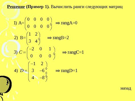 Зависимость ранга кососимметрической матрицы от размерности