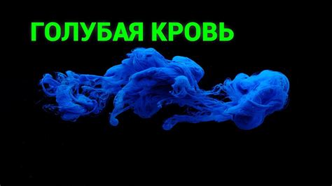 Загадочная невидимость: удивительные свойства загадочной шапки