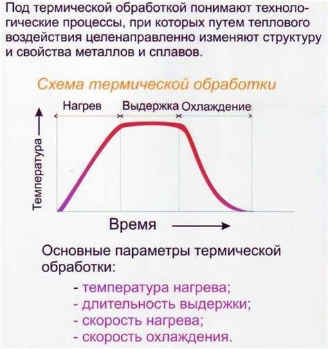 Закономерности оптимальной обработки орехов: выбор температуры и продолжительности процесса