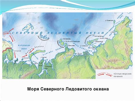 Западный участок Северного Ледовитого океана: магнет для мощных морских существ