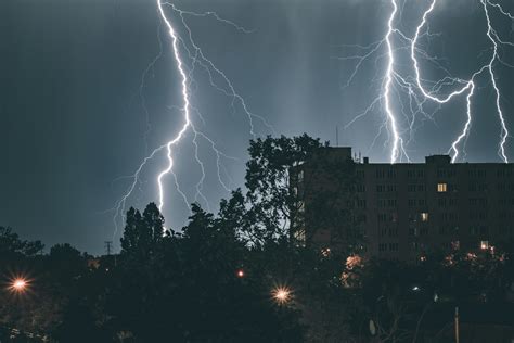 Заповедники и парки: безопасность на природе во время грозы