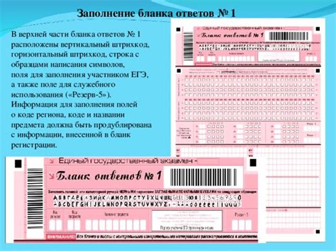 Заполнение информации для регистрации в системе