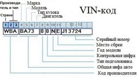 Зачем необходимо знать расположение идентификационного кода автомобиля