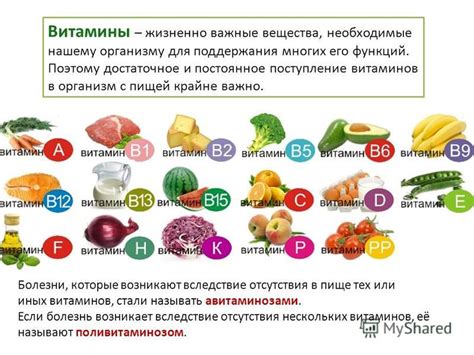 Зачем нужно следить за состоянием витаминов в организме человека?