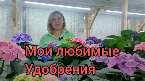 Зачем откладывать удобрения до весны для грядок: тщательное планирование озимой подготовки