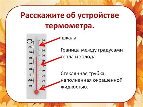 Зачем целесообразно ликвидировать поврежденные термометры и как это сделать эффективно