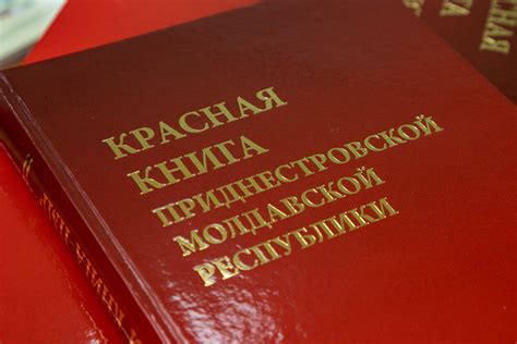 Защита и сохранение уникального богатства Буссе на протяжении веков