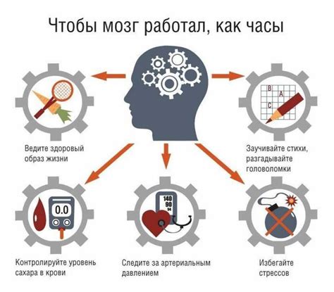 Защита и сохранение ценного "серебряного мозга": важность поддержания функционирования и здоровья главного органа нашего мышления