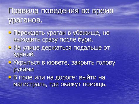 Защита от сильных ветров и низких температур: ключевые факторы при выборе местоположения для посадки тростника в саду