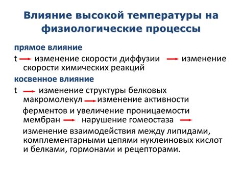 Защита растений от неблагоприятных температурных условий и опасности замораживания