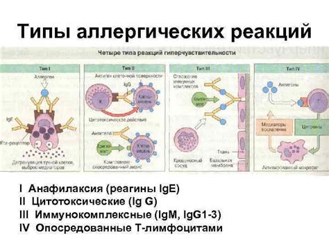 Защитная функция паразитов в предотвращении аллергических реакций