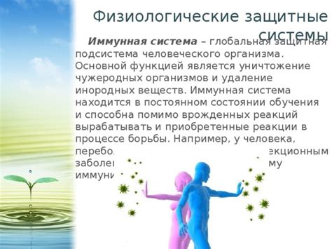 Защитные механизмы организма: иммунная система и эмоциональное состояние