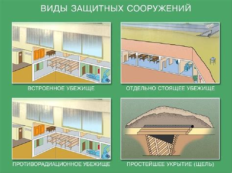 Защитные укрытия: где ищут убежище животные