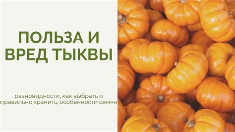 Здоровое питание и использование тыквы: как правильно сочетать и представлять в рационе