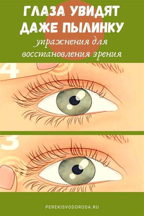 Здоровье глаз: противодействие утомляемости