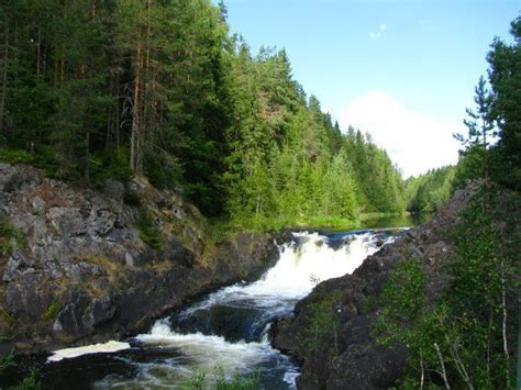 Зеленые просторы национального парка Кивач