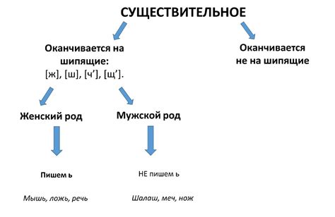 Знак ь после шипящих в сочетаниях с согласными