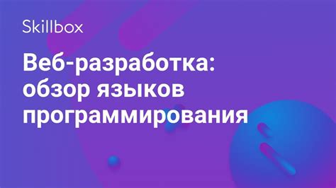 Знание языков программирования: фундамент успеха веб-разработчика