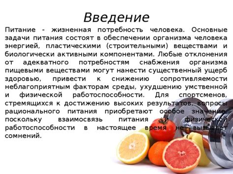 Значение адекватного рациона перед физической нагрузкой