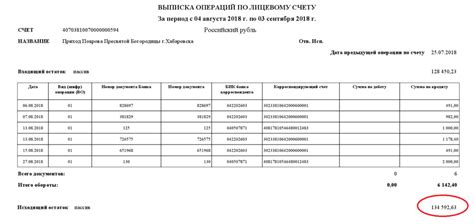 Значение выписки по банковскому счету индивидуального предпринимателя и ее функциональность