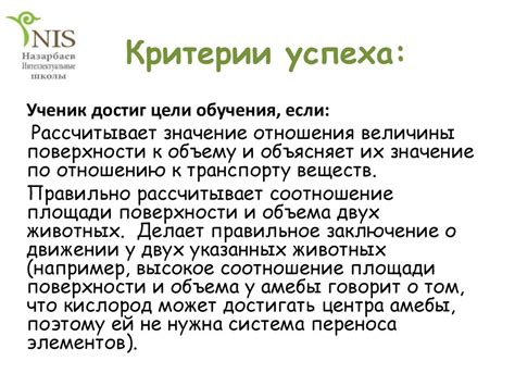 Значение диффузии и ее влияние на процессы перемешивания веществ в средах