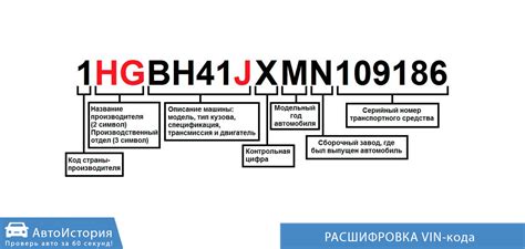 Значение и расшифровка символов в идентификационном номере автомобиля ВАЗ 2106