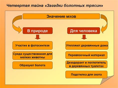 Значение и роль электрической защиты в автомобиле