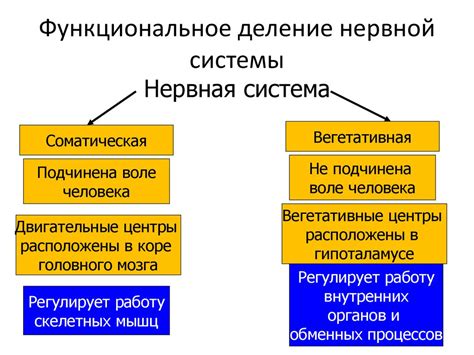 Значение и функциональное значение идентификационного кода двигателя