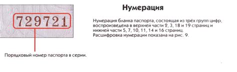 Значение каждой цифры и буквы в идентификационном номере автомобиля Рено Сценик 1