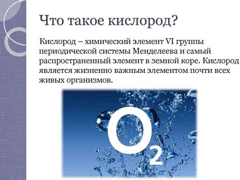 Значение кислорода для организма: почему он необходим?